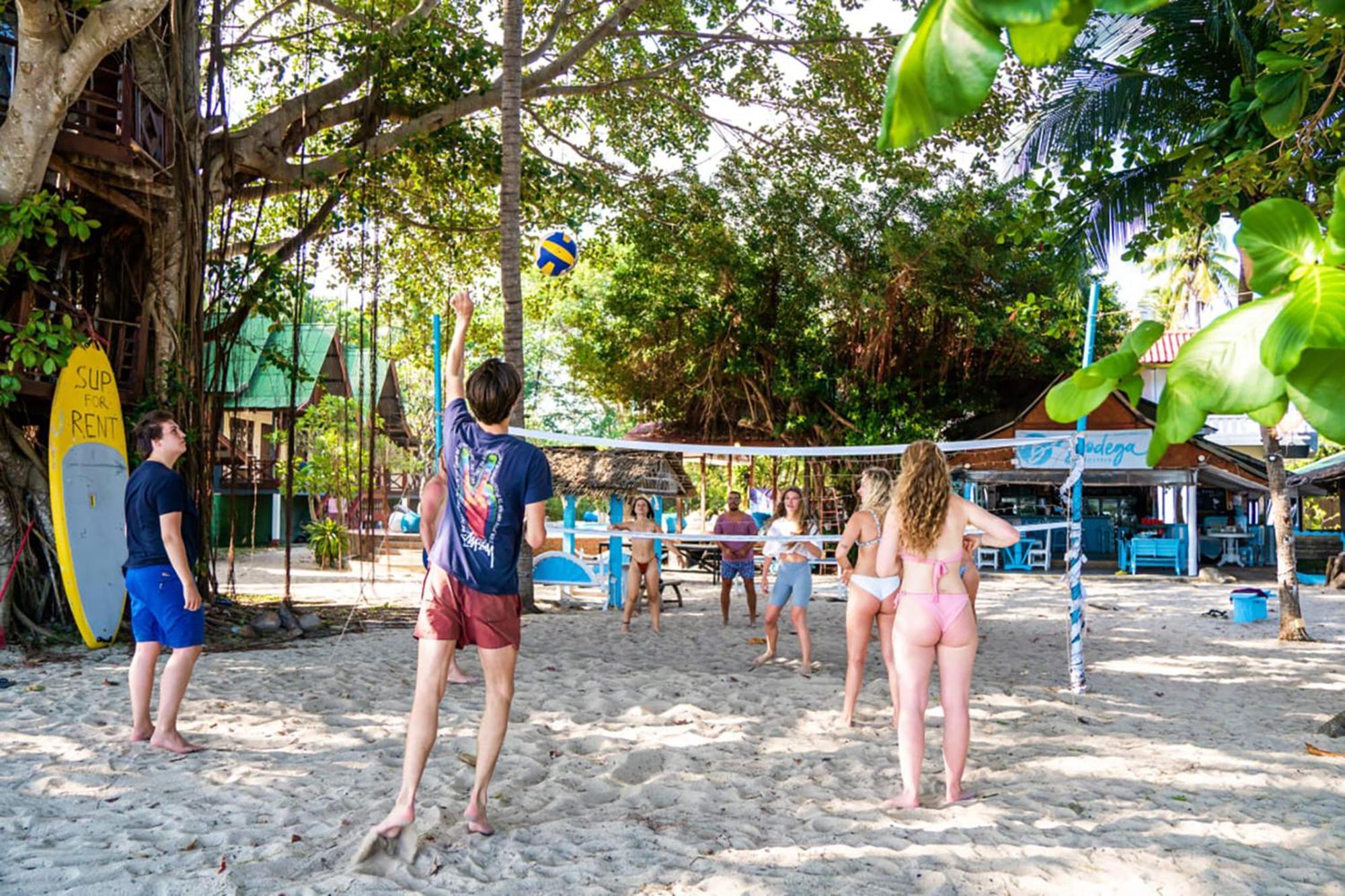 Bodega Koh Pha Ngan Beach Thong Sala Luaran gambar